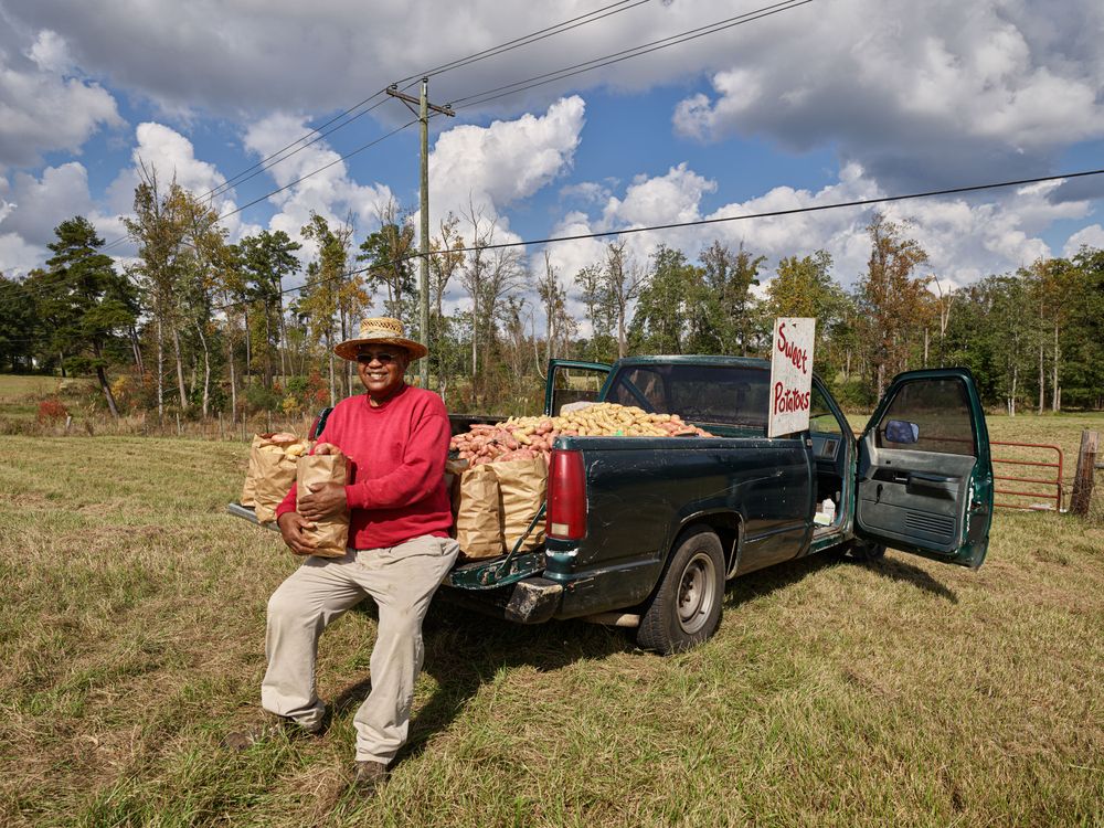 Man selling sweet potatoes from truck, Mt. Olive, Mississippi