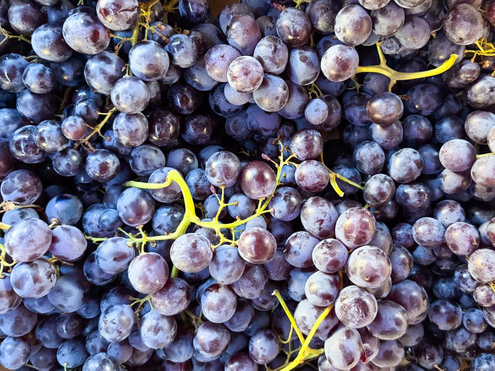 Red grapes for sale at market