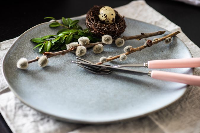 Pussy willow on Easter table setting with nest & egg