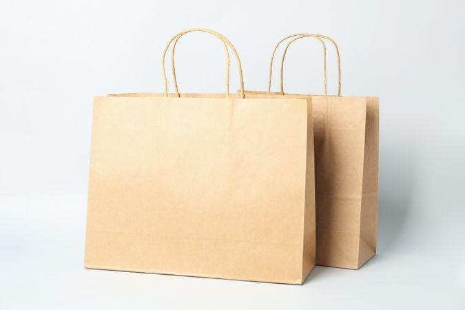 Empty paper bags on neutral background, space for text