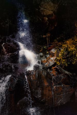 Iguana under a waterfall