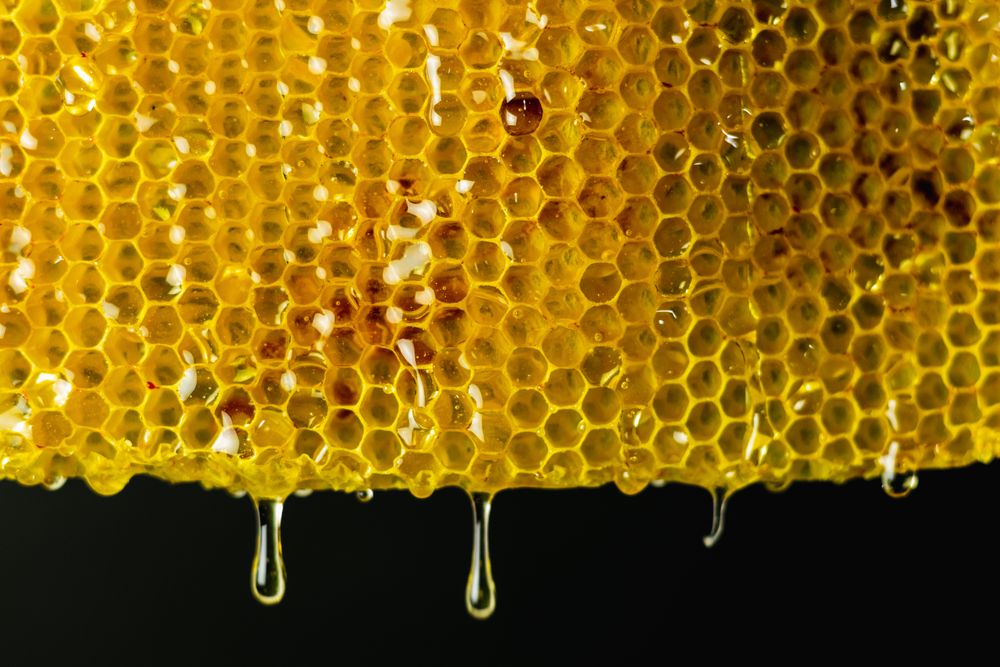 Honeycomb with golden honey