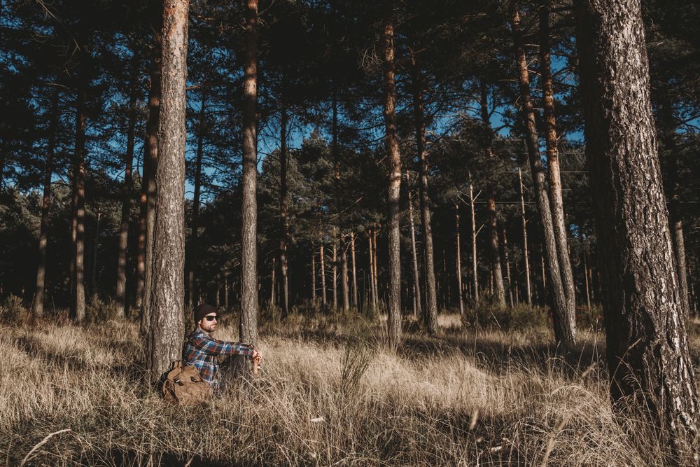 Relaxed tourist resting by tree in forest