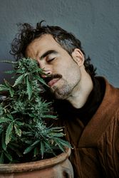 a young brown-haired man smelling his marijuana plant at home