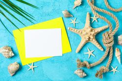 Starfish, seashells, sea rope, palm leaf  and space for text on two tone background, top view. Summer vacation backdrop