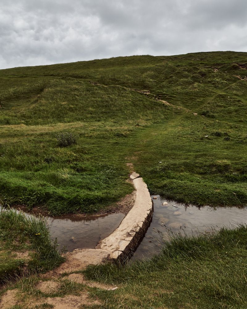 Log creating a path over a small brook