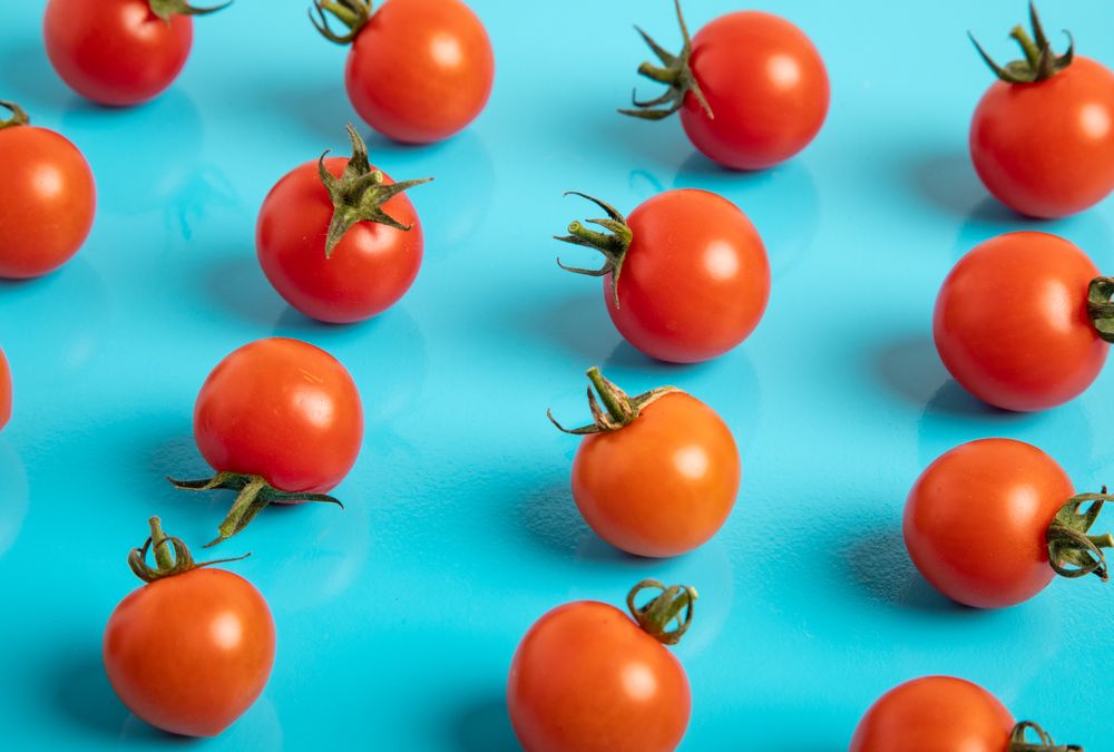 Set of assorted tomatoes