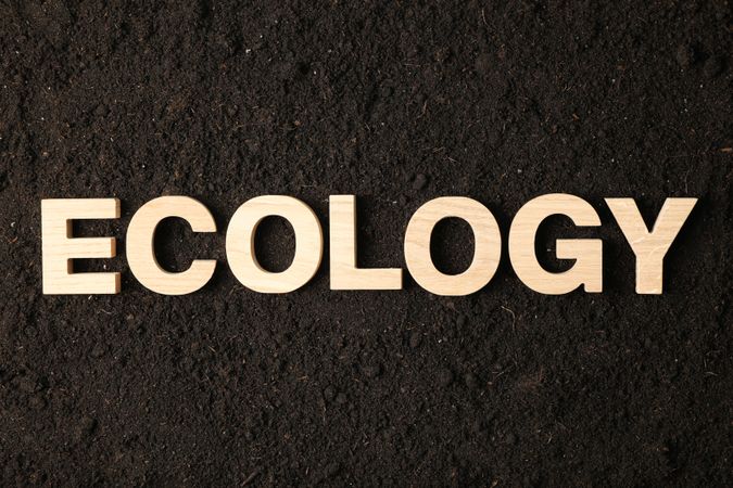 Inscription ecology on soil background, space for text. Environmental protection