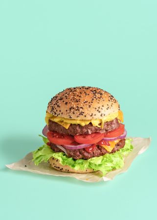 Homemade burger isolated on a green background