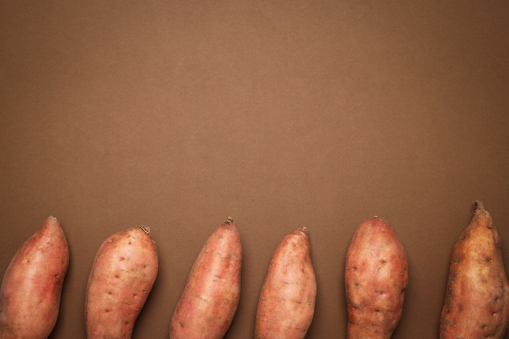 Concept of vegetables, sweet potato, space for text