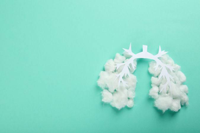Lung bronchus made of paper and cotton on mint green background with copy space