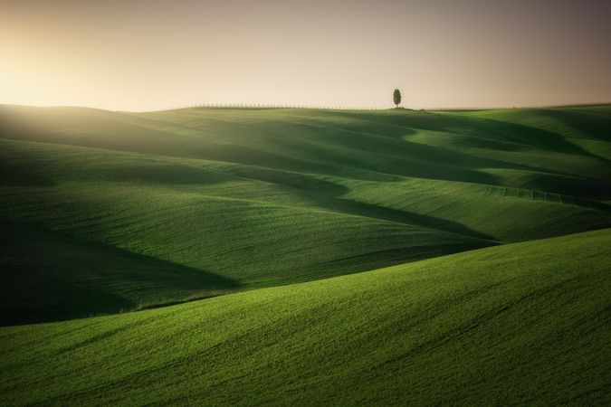 Wonderful empty green fields
