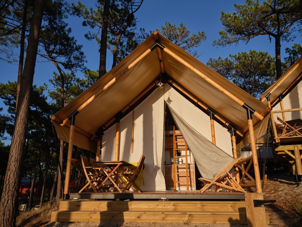 Glamping campsite in coniferous forest