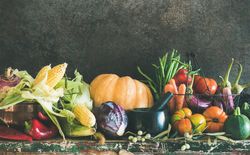 Fresh produce close up with squash, corn, cabbage, copy space