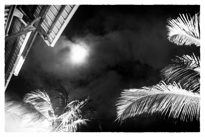 B&W shot of moon behind the clouds with palm trees