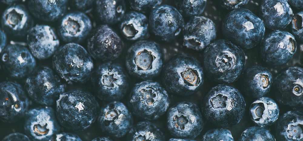 Tightly packed freshly washed batch of blueberries, wide composition