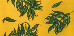 Top view of green leaves on yellow background