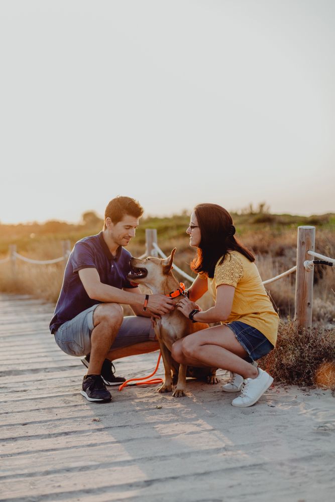 Happy adult couple petting dog at countryside