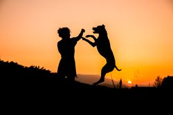 Female playing with dog at hilly area in evening