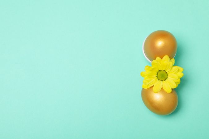 Pension rewards, returns and investment funding concepts, golden eggs