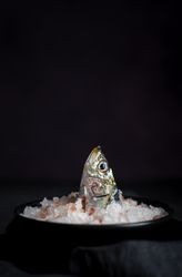 Head of sardine in plate with salt in darkness