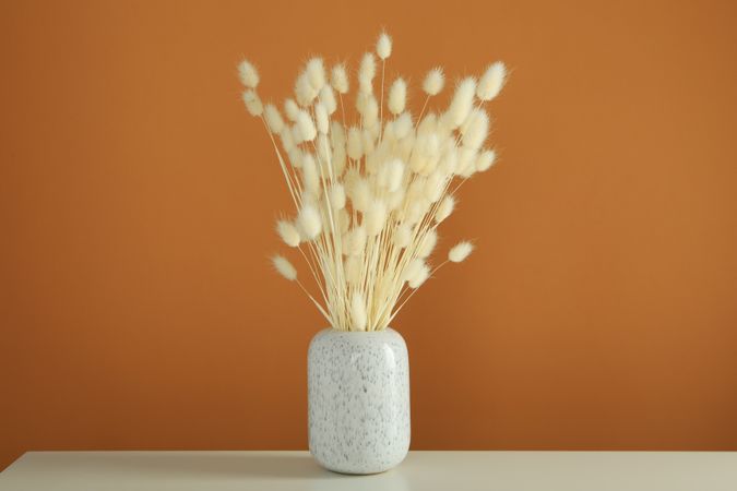 Vase of dried bunny tail bouquet centered on table in brown room