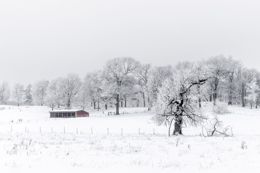 Red barn in a snowy field