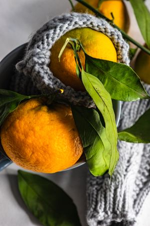 Organic tangerines with woolen cosy
