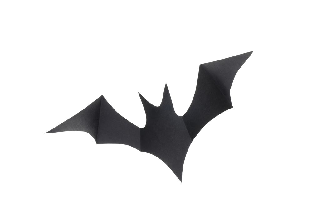 Decorative bat isolated on plain background