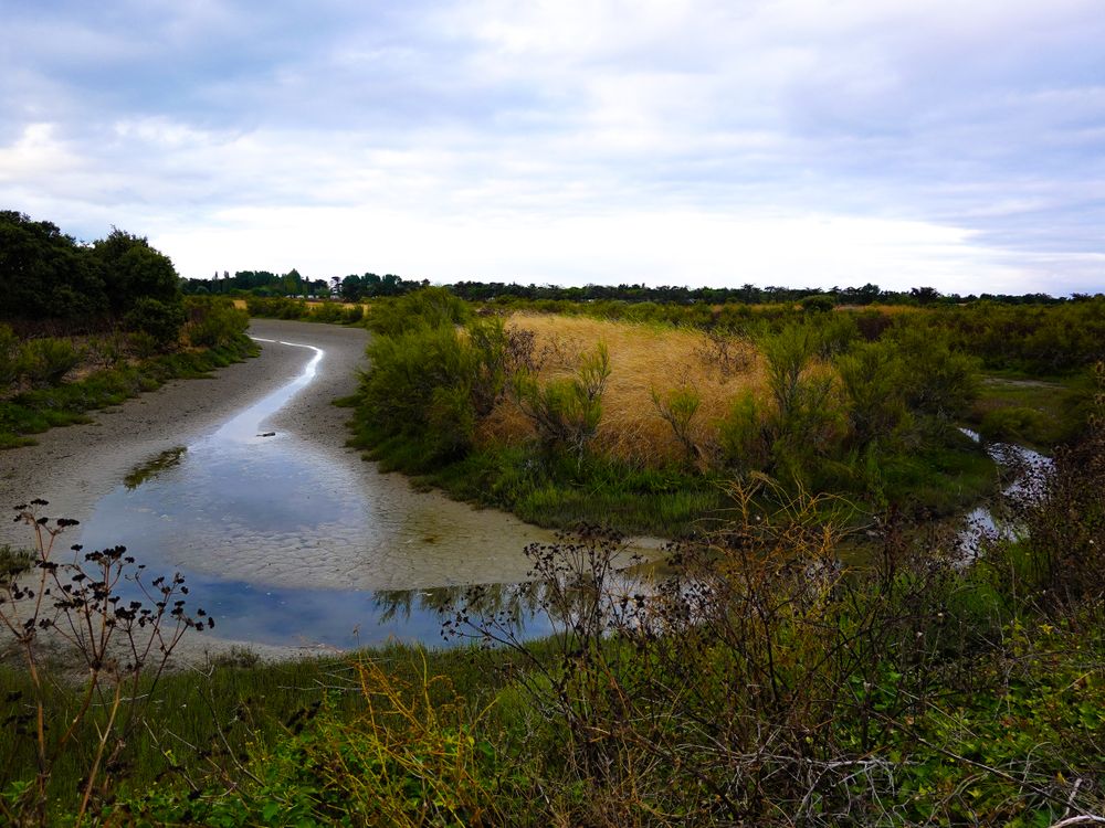 Marshland of the countryside on the path to Ars