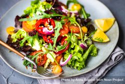 Close up of organic vegetable salad 56GGEL