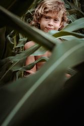 Smiling boy hiding behind green leaves