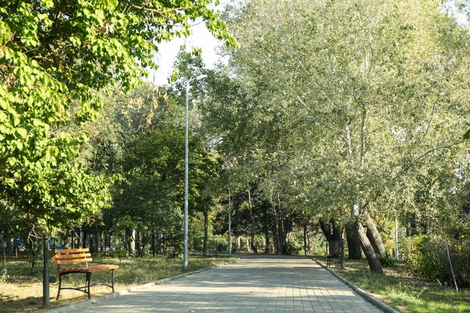 Beautiful city park in bright sunny morning