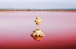 Pink lake with stones reflected in water