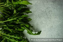 Close up of arugula leaves on grey counter 0LdYRA