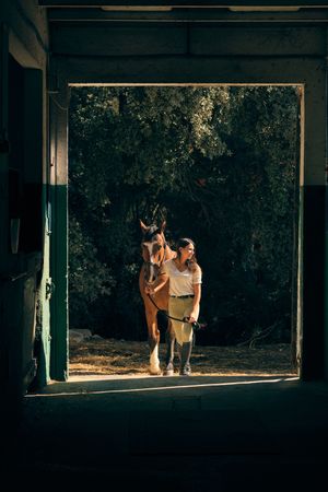 Horsewoman leading horse in barn