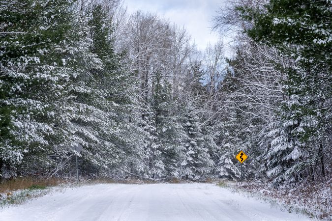 A snow-covered road and winding road sign in Itasca County, Minnesota