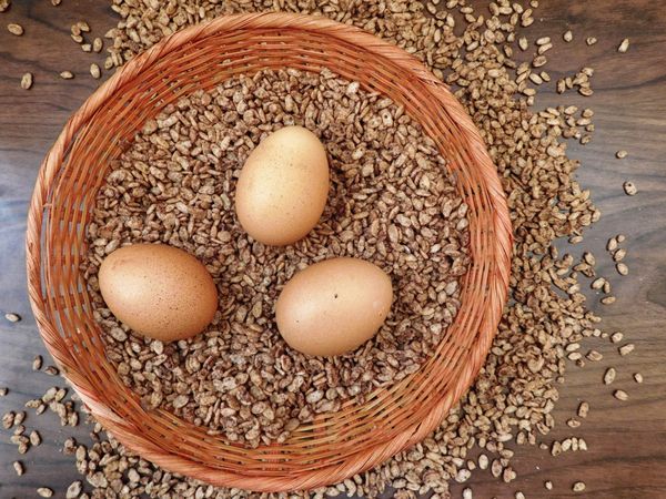 eggs