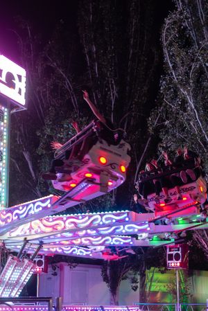 People on illuminated amusement ride in park