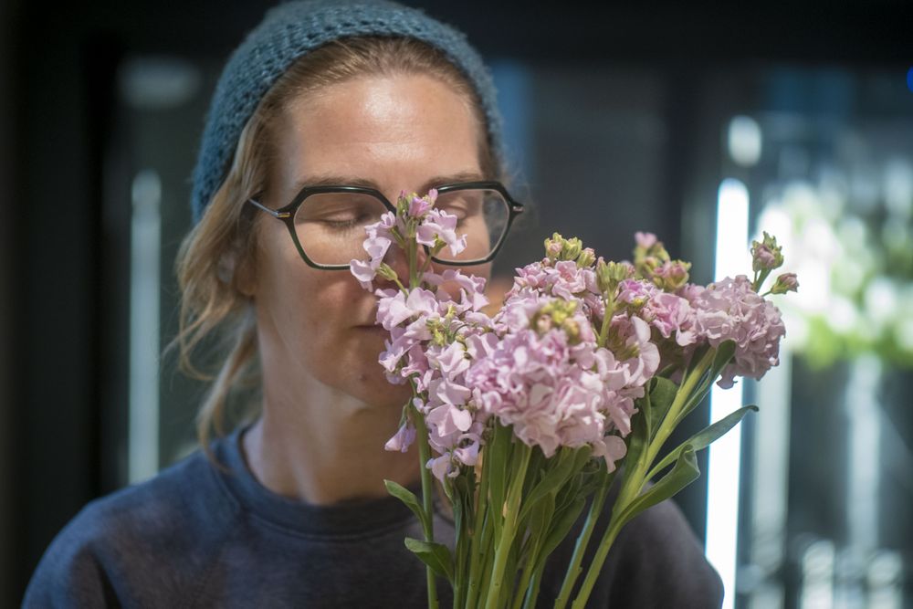 Copake, New York - May 19, 2022: Pink flowers with woman in background