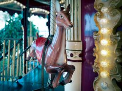 fawn: Carousel 1900