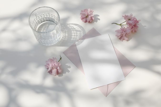 Pink Japanese cherry tree, sakura blossoms in sunlight with blank greeting card