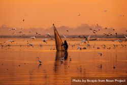 Silhouette of a person fishing during sunset while flock of gulls flying around the sea bG61V4