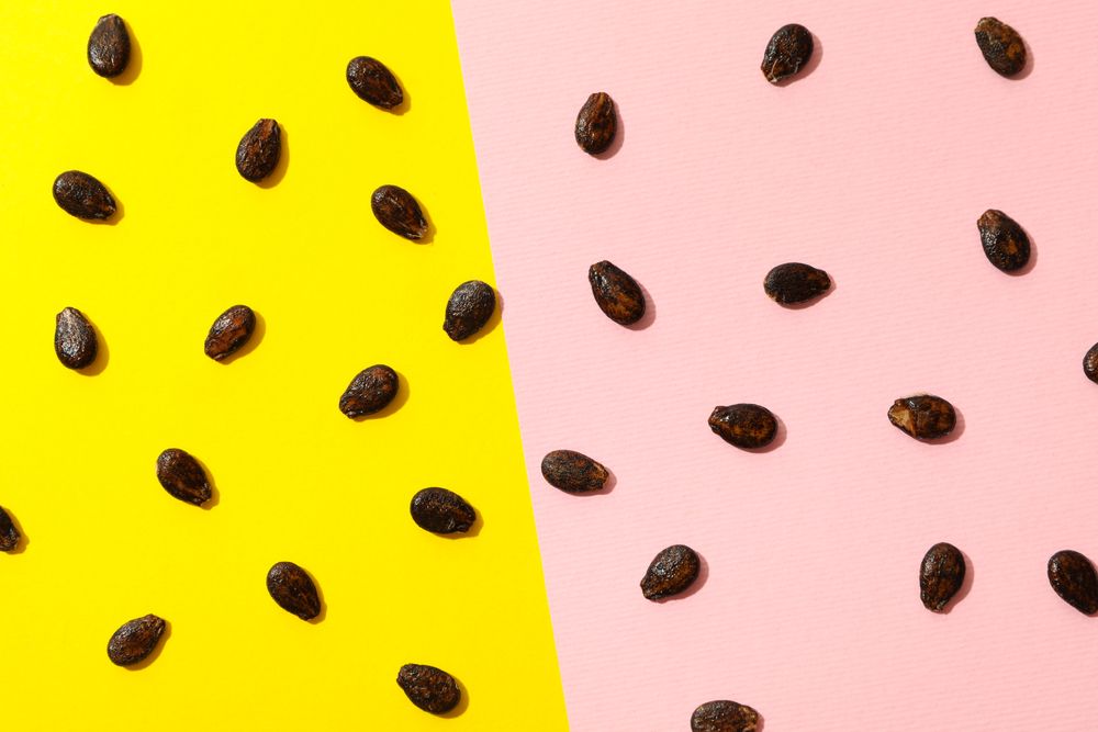 Watermelon seeds on two tone background, top view