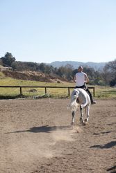 Back of man in casual outfit riding horse on sandy ground