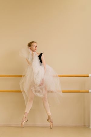 Ballet dancer poses elegantly in a dance studio