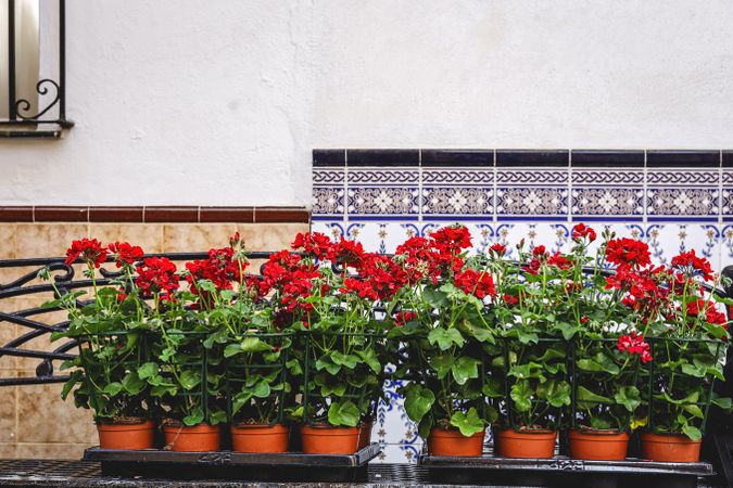 Typical Andalusian Spanish villages