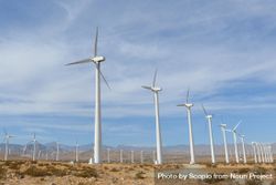 Wind mills of Palm Springs in United States of America at daytime 4jwn8b