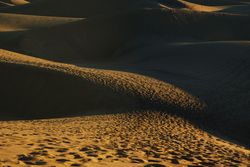Sandy dunes with traces in sunlight
