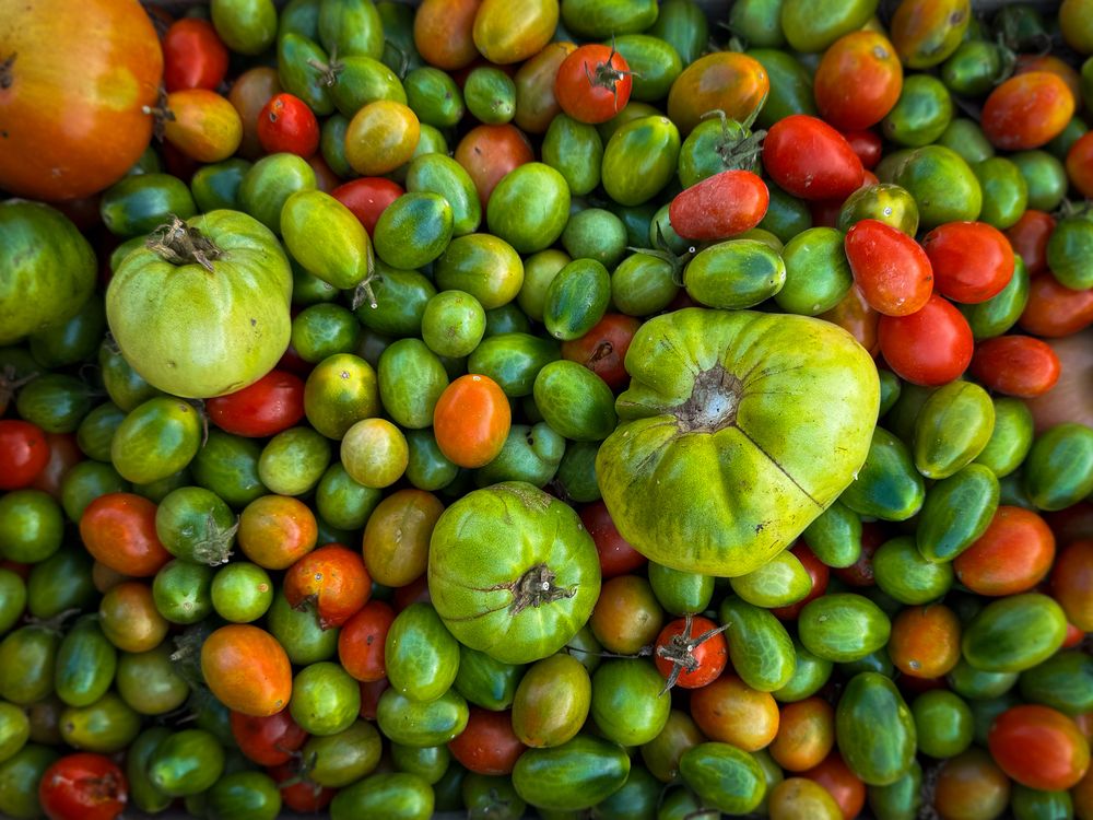 Cherry and heirloom tomatoes